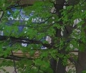 Продать Комнаты в квартирах улица Ткачей, 4   