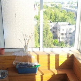 Аренда 1-комн квартиры на вторичном рынке Пушкин г, Детскосельский б-р,  д. 8