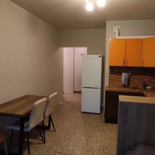 1-комн квартира Шуваловский проспект, 37к1