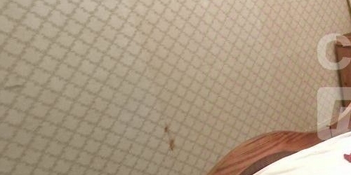 3-комн квартира улица Академика Арцимовича, 16