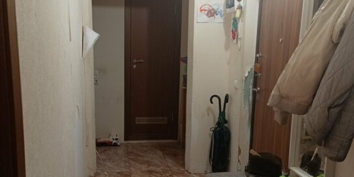 3-комн квартира Даниила Хармса ул,  д. 5,  к. 1