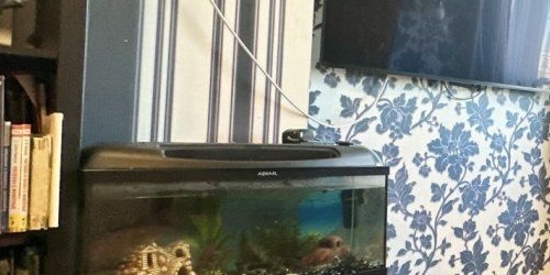 1-комн квартира Железнодорожный переулок, 12