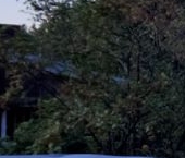 Продать Дачи, коттеджи, загородные дома Рябово садоводческий массив, Керамик СНТ   