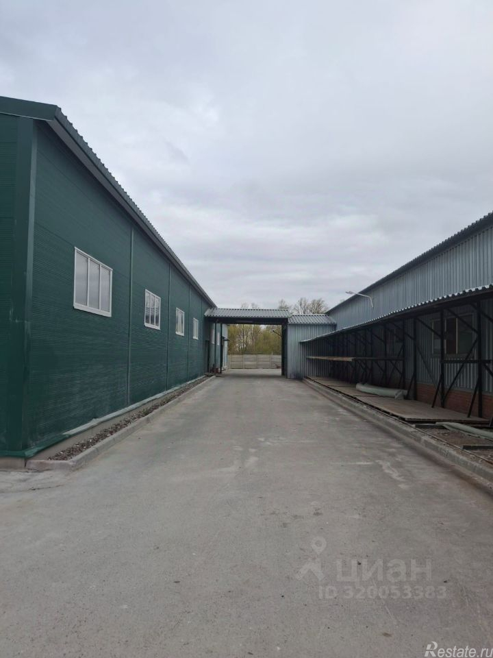 Аренда производственного помещения Малое Карлино, Пушкинское шоссе,  д. 48
