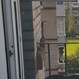 Продажа 1-комн квартиры на вторичном рынке Пулковская улица, 11К2 Продажа 1-комн квартиры на вторичном рынке Пулковская улица, 11К2