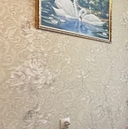 Продажа 3-комн квартиры на вторичном рынке Заневский проспект, 17