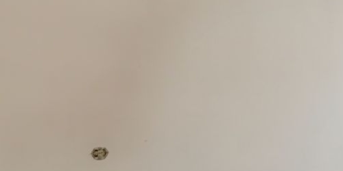 2-комн квартира Смольный проспект, 17