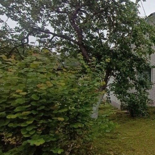 Коттедж/дом Восход садоводческий массив