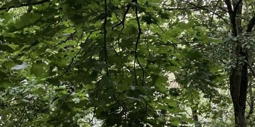 3-комн квартира Партизанская улица, 47