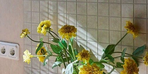 1-комн квартира набережная Черной речки, 26