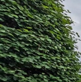 Продажа 4-комн квартиры на вторичном рынке улица Ефремова, 19к1