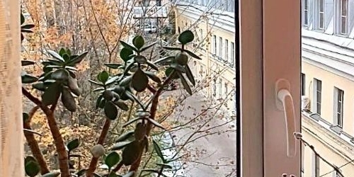 2-комн квартира Невский проспект, 108