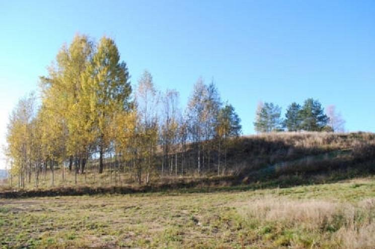 Фото коттеджного поселка Вуотъярки от Адвекон. Коттеджный поселок 