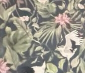 Продать Квартиры вторичка пос. Бугры, бульвар Воронцовский, 5к5   