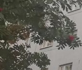 Продать Квартиры вторичка улица Шаврова, 27   