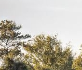 Продать Дачи, коттеджи, загородные дома Павловск, Негород Павловск кп   