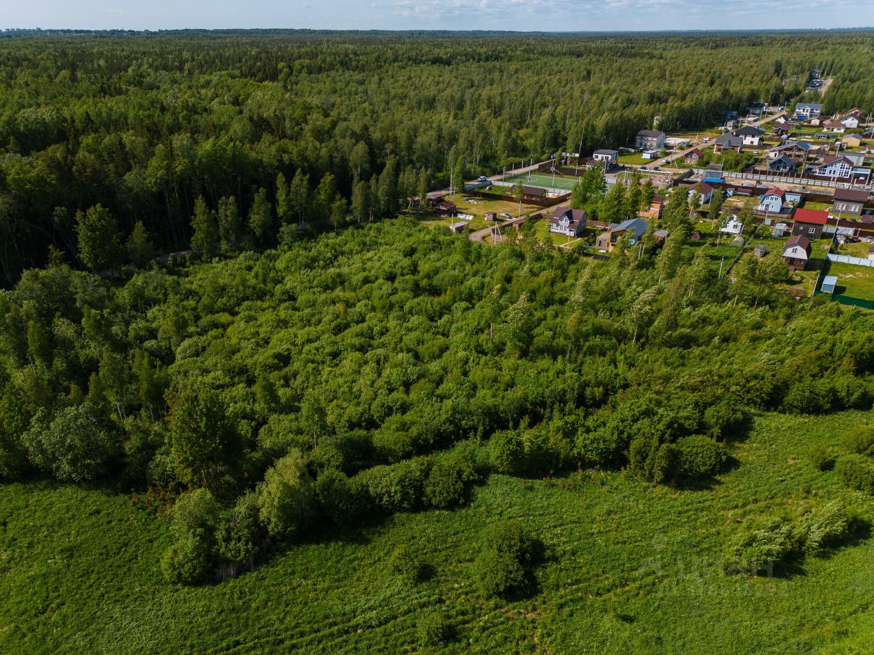 Продажа земли д. Разметелево, 164