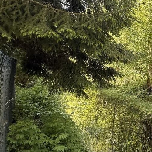 Коттедж/дом Пупышево садоводческий массив, Сигнал-1 СНТ, 10-я линия, 170