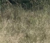 Продать Земельные участки, земля д. Мендсары, проезд 2-й   