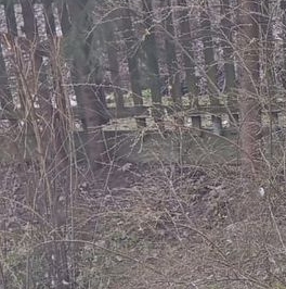 Продажа дома пос. Песочный, Школьная улица, 6