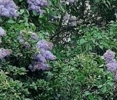 Продать Квартиры вторичка улица Красного Курсанта, 30   