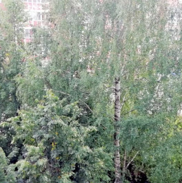 Продажа 1-комн квартиры на вторичном рынке Рощино пос., Советская ул. ,  д. 25