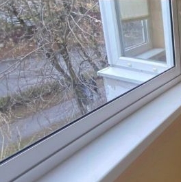 Аренда 1-комн квартиры на вторичном рынке Дмитров, улица Подъячева, 15