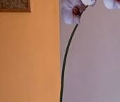 Сдать в аренду Квартиры вторичка Кудрово г., улица Ленинградская, 9/8   