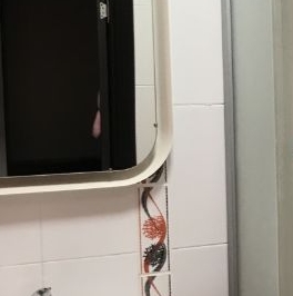 Аренда 1-комн квартиры на вторичном рынке Дунайский проспект, 7к7 Аренда 1-комн квартиры на вторичном рынке Дунайский проспект, 7к7