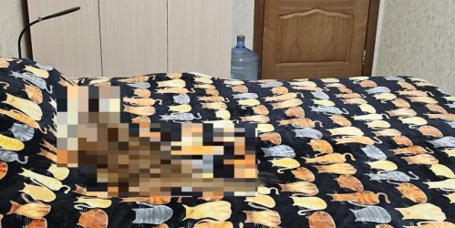 3-комн квартира Твардовского улица,  д. 5,  к. 2