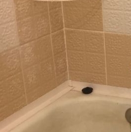 Аренда 2-комн квартиры на вторичном рынке Черная Речка мкр, Сертолово, 13 Аренда 2-комн квартиры на вторичном рынке Черная Речка мкр, Сертолово, 13