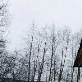 Продажа земли улица Ленинградская, 25