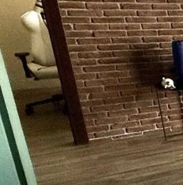 Аренда 2-комн квартиры на вторичном рынке улица Дыбенко, 7/1 Аренда 2-комн квартиры на вторичном рынке улица Дыбенко, 7/1