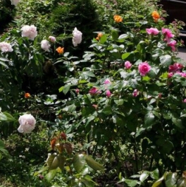 Продажа 5-комн квартиры на вторичном рынке Ленинский пр-кт,  д. 67 к2