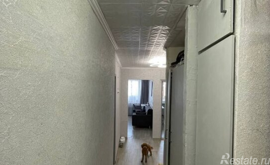 Продажа 1-комн квартиры на вторичном рынке свх Архангельский п, Центральная ул,  д. 6