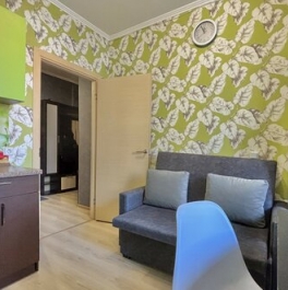 Продажа 1-комн квартиры на вторичном рынке Заневское городское поселение, Ясная улица,  д. 11 к2