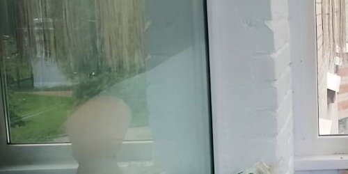 1-комн квартира пос. Стрельна, улица Гоголя, 9