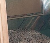 Продать Квартиры вторичка Волоколамское шоссе, 10   