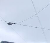 Продать Квартиры вторичка проспект Большой Васильевского острова, 74   