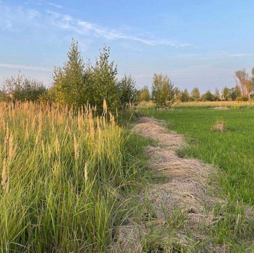 Земельный участок деревня Аргуново