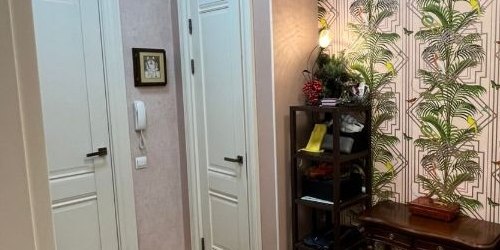 3-комн квартира Московский проспект, 216