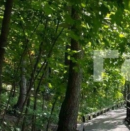 Продажа 1-комн квартиры на вторичном рынке Красногорск, улица Согласия, 19