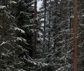 Продать Земельные участки, земля д. Мистолово, проезд Малахитовый   