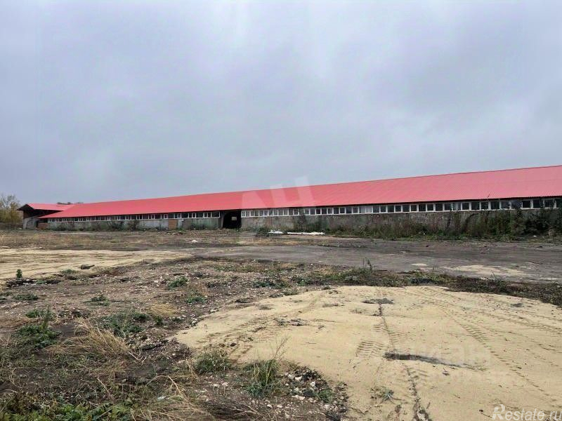 Аренда склада Руднево, , Кашира, ул Центральная,  д. 3