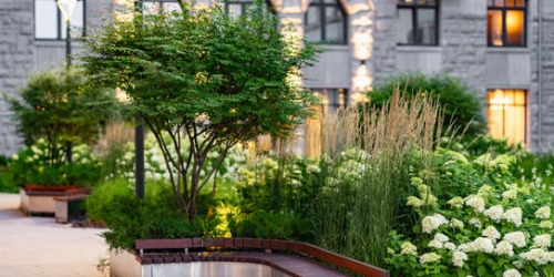 1-комн квартира наб Реки Карповки,  д. 39