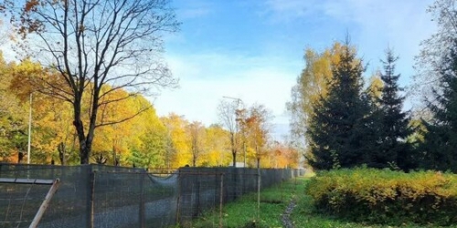 1-комн квартира Кондратьевский пр-кт,  д. 62,  к. 2