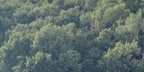 1-комн квартира улица Академика Павлова, 56к1