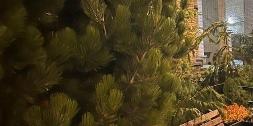 4-комн квартира улица Савушкина, 140