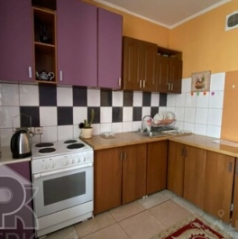 Продажа 2-комн квартиры на вторичном рынке Ольгино, Граничная улица