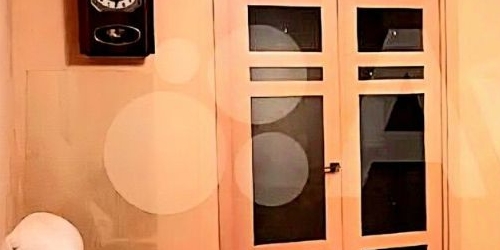 3-комн квартира пос. Шушары, улица Вишерская, 22